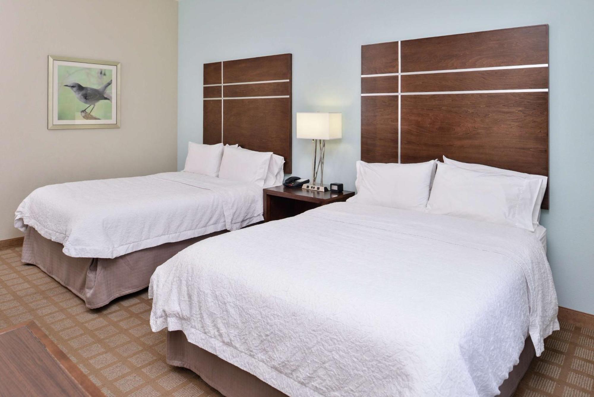 Hampton Inn And Suites Hutto Zewnętrze zdjęcie